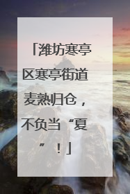 潍坊寒亭区寒亭街道麦熟归仓，不负当“夏”！