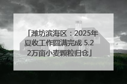 潍坊滨海区：2025年夏收工作圆满完成 5.22万亩小麦颗粒归仓
