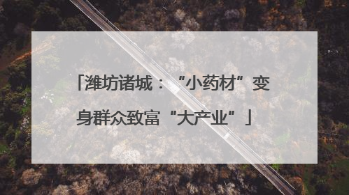 潍坊诸城：“小药材”变身群众致富“大产业”