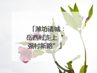 潍坊诸城：岳西村走上“强村新路”