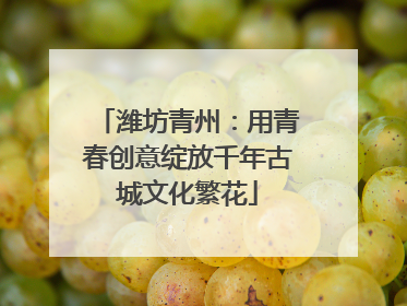 潍坊青州：用青春创意绽放千年古城文化繁花