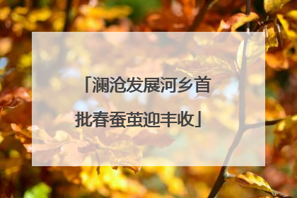 澜沧发展河乡首批春蚕茧迎丰收