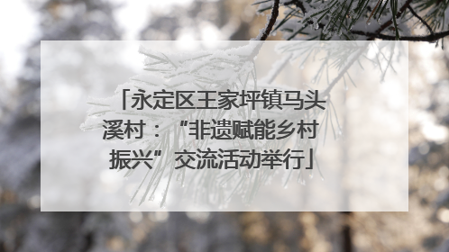 永定区王家坪镇马头溪村：“非遗赋能乡村振兴”交流活动举行