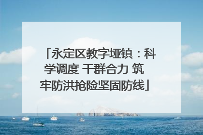 永定区教字垭镇：科学调度 干群合力 筑牢防洪抢险坚固防线
