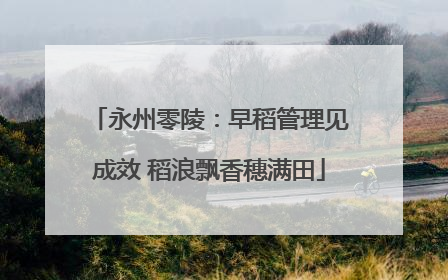 永州零陵：早稻管理见成效 稻浪飘香穗满田