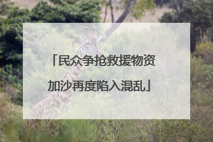 民众争抢救援物资 加沙再度陷入混乱