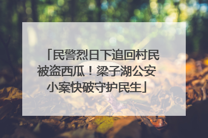 民警烈日下追回村民被盗西瓜！梁子湖公安小案快破守护民生