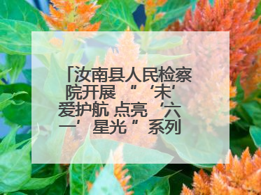 汝南县人民检察院开展 “‘未’爱护航 点亮‘六一’星光 ”系列普法活动