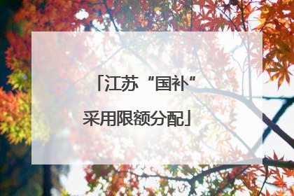江苏“国补”采用限额分配