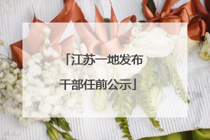 江苏一地发布干部任前公示