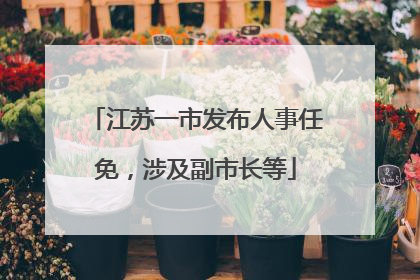 江苏一市发布人事任免，涉及副市长等