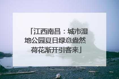 江西南昌：城市湿地公园夏日绿意盎然 荷花渐开引客来