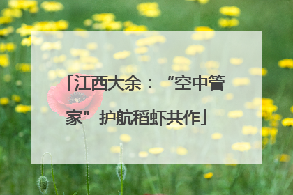 江西大余：“空中管家”护航稻虾共作