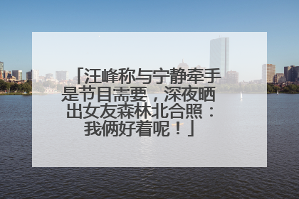 汪峰称与宁静牵手是节目需要，深夜晒出女友森林北合照：我俩好着呢！