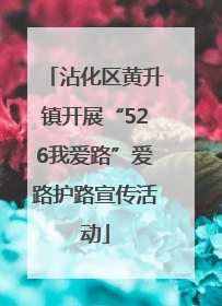 沾化区黄升镇开展“526我爱路”爱路护路宣传活动