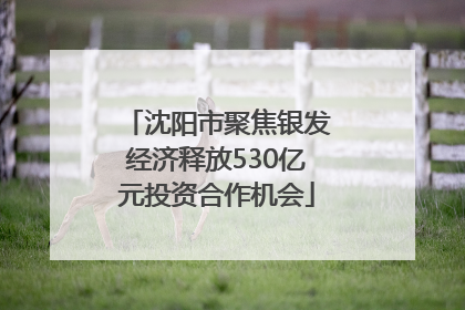 沈阳市聚焦银发经济释放530亿元投资合作机会
