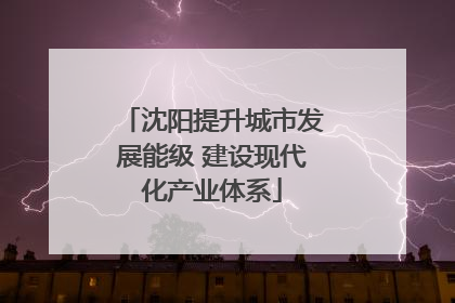 沈阳提升城市发展能级 建设现代化产业体系