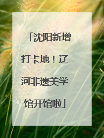 沈阳新增打卡地！辽河非遗美学馆开馆啦