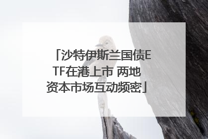 沙特伊斯兰国债ETF在港上市 两地资本市场互动频密