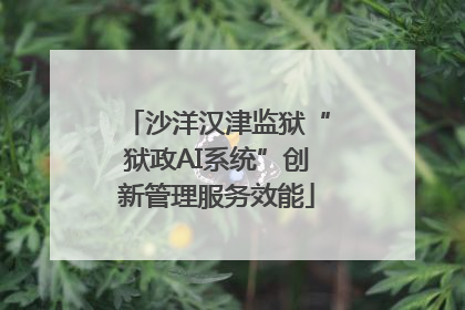 沙洋汉津监狱“狱政AI系统”创新管理服务效能