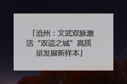 沧州：文武双脉激活“双遗之城”高质量发展新样本
