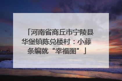 河南省商丘市宁陵县华堡镇陈兑楼村：小藤条编就“幸福图”