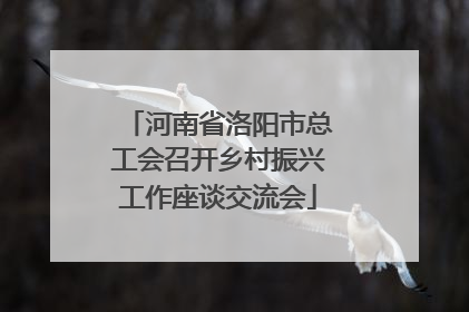 河南省洛阳市总工会召开乡村振兴工作座谈交流会