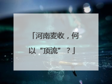 河南麦收，何以“顶流”？