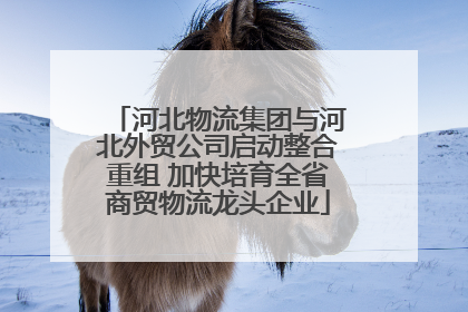 河北物流集团与河北外贸公司启动整合重组 加快培育全省商贸物流龙头企业