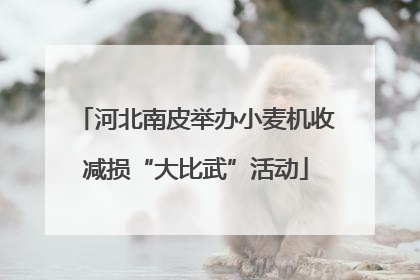 河北南皮举办小麦机收减损“大比武”活动