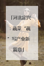 河北定兴：蔬菜“蔬”写产业新篇章
