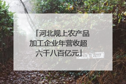 河北规上农产品加工企业年营收超六千八百亿元