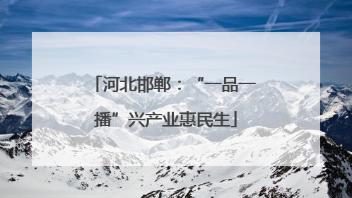 河北邯郸：“一品一播”兴产业惠民生