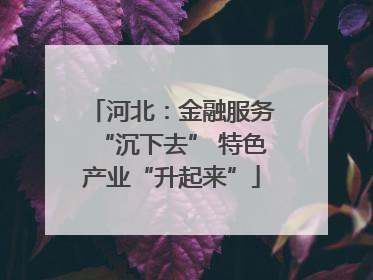 河北：金融服务“沉下去” 特色产业“升起来”