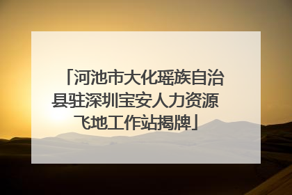 河池市大化瑶族自治县驻深圳宝安人力资源飞地工作站揭牌