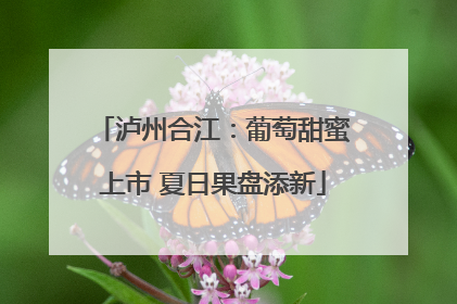 泸州合江：葡萄甜蜜上市 夏日果盘添新