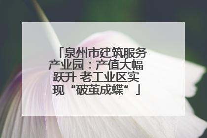 泉州市建筑服务产业园：产值大幅跃升 老工业区实现“破茧成蝶”