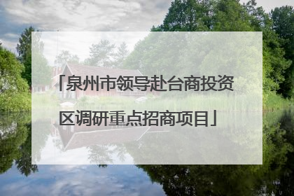 泉州市领导赴台商投资区调研重点招商项目