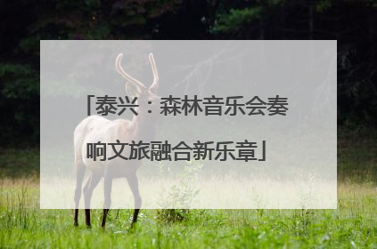 泰兴：森林音乐会奏响文旅融合新乐章