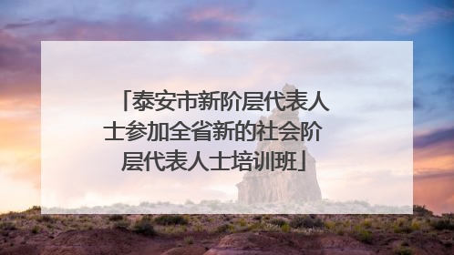 泰安市新阶层代表人士参加全省新的社会阶层代表人士培训班