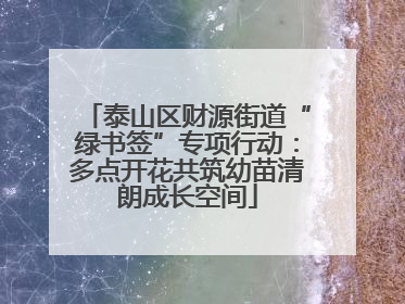 泰山区财源街道“绿书签”专项行动：多点开花共筑幼苗清朗成长空间