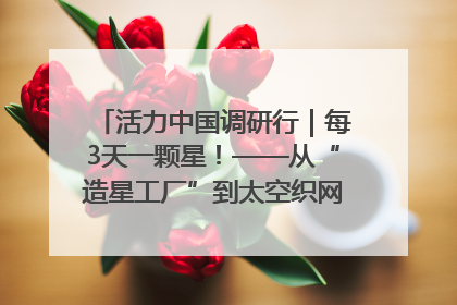 活力中国调研行｜每3天一颗星！——从“造星工厂”到太空织网的“银河速度”