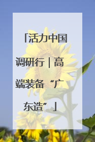 活力中国调研行｜高端装备“广东造”