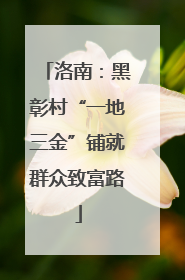 洛南：黑彰村“一地三金”铺就群众致富路
