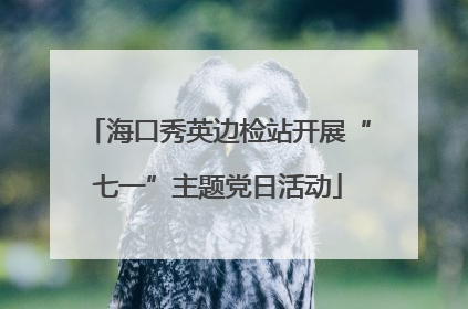 海口秀英边检站开展“七一”主题党日活动