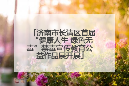 济南市长清区首届“健康人生 绿色无毒”禁毒宣传教育公益作品展开展