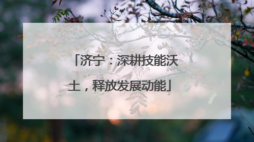 济宁：深耕技能沃土，释放发展动能