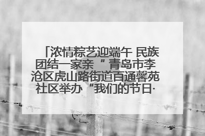 浓情粽艺迎端午 民族团结一家亲“ 青岛市李沧区虎山路街道百通馨苑社区举办“我们的节日·端午“主题活动