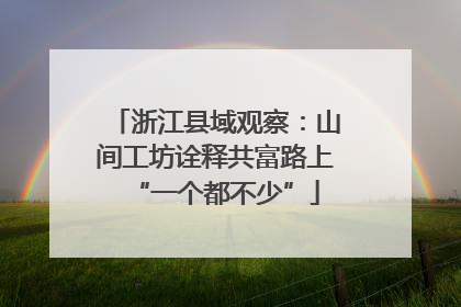 浙江县域观察：山间工坊诠释共富路上“一个都不少”