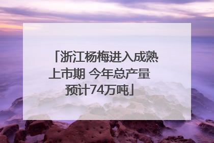 浙江杨梅进入成熟上市期 今年总产量预计74万吨